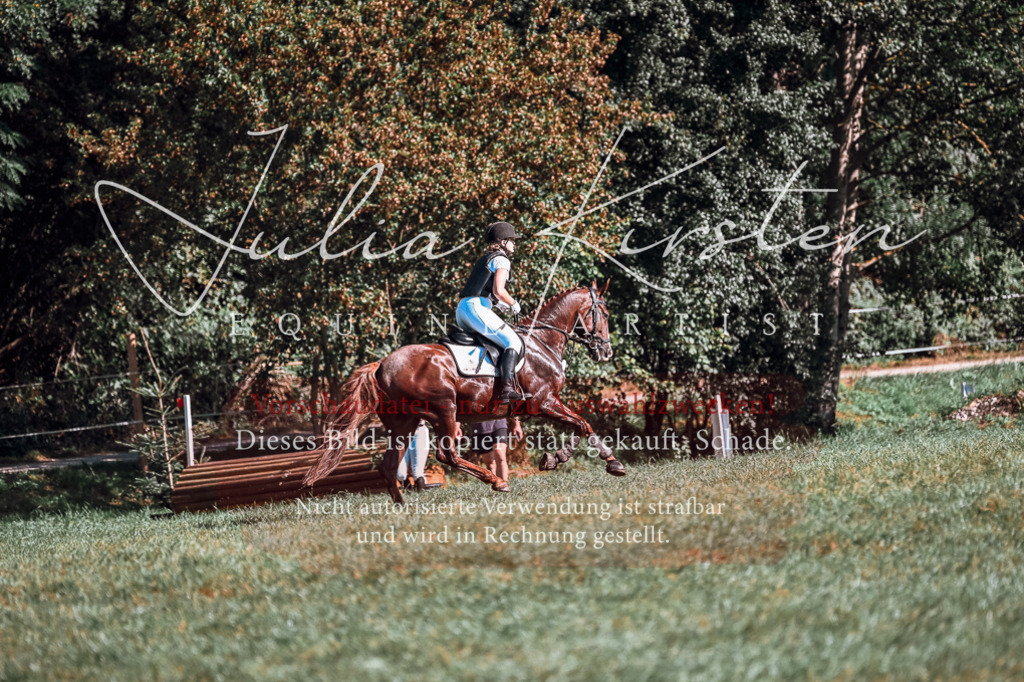 DSC_0758 | Pferde- und Turnierfotografie in Westsachsen. Pferdeportraits, Auftragszeichnungen und intuitive Kunst.
