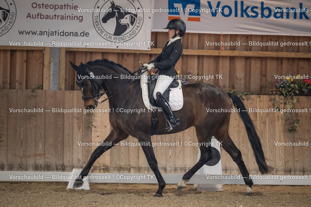 _D5A5831 | Emotionale Pferde- & People-Fotografie rund um Heidelberg, Leimen & Umgebung. Natürliche Fotos von Pferd, Mensch & Familie. Jetzt Termin sichern!