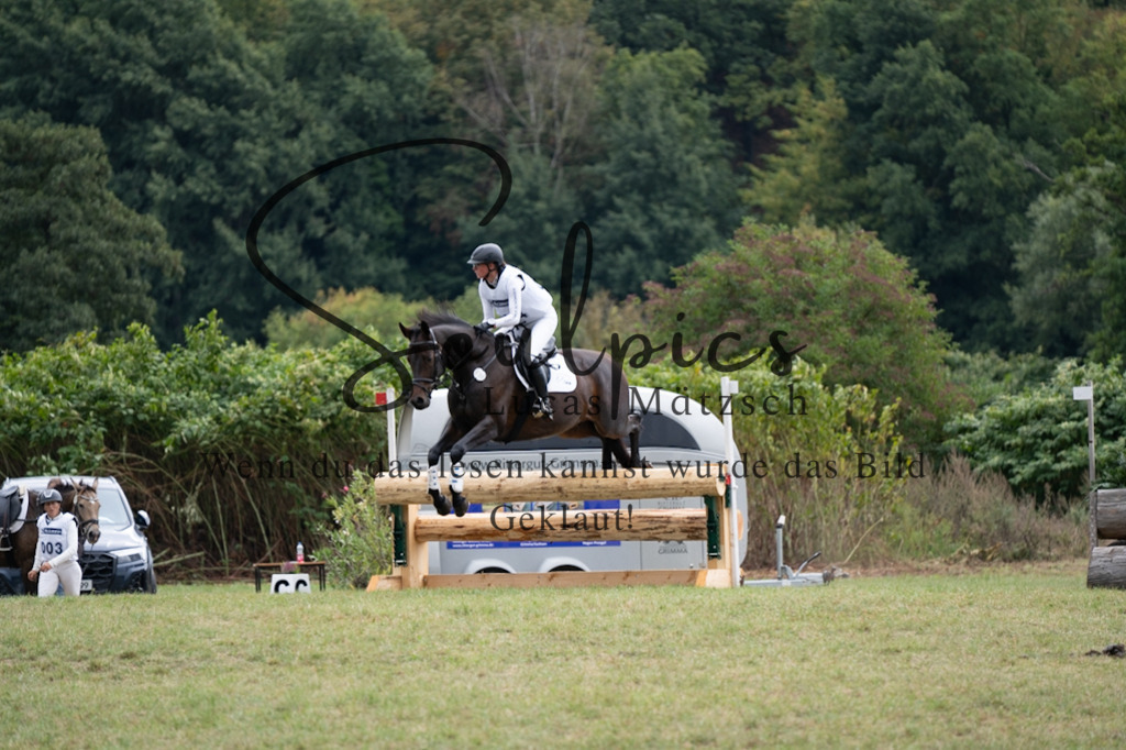 A7V00468 | Pferdefotograf