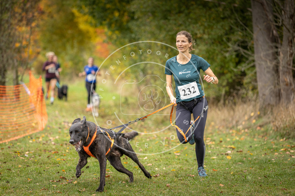 Pfotenfotografie_DV3A4734 | Hundefotografie, Tierfotograf, Pfotenfotografie, Fotoshooting Hund, Hunde Portrait, Hundesport, Hundeportraits, Heideshooting, Hunde, Sportfotograf, Hundefotograf, Turnierhundsport, THS,  - Realisiert mit Pictrs.com