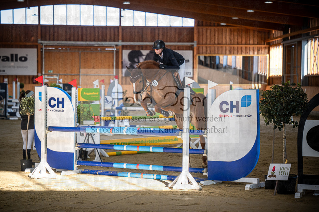 DOS_0574 | Entdecke hochwertige Reitturnierfotos von Foto Oger. Professionell, emotional und authentisch – jetzt Lieblingsmomente im Shop bestellen.Deutschlandweite Turnierfotografie. - Realisiert mit Pictrs.com