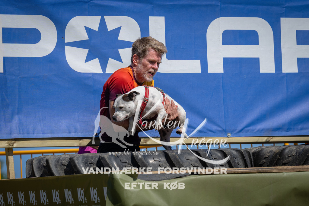 1254_ZZ97240 | kk-dogfotos