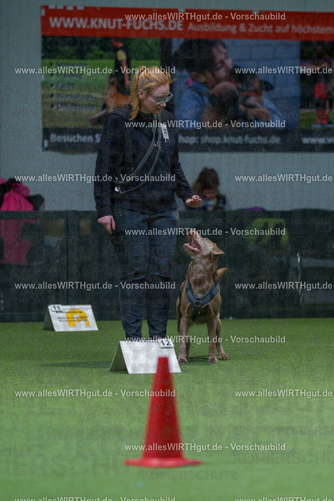 7R501309 | Professionelle Tierfotografie in Mönchengladbach von Daniel Wirth (allesWIRTHgut). Liebevolle & natürliche Bilder von Hunden & Katzen für unvergessliche Erinnerungen.