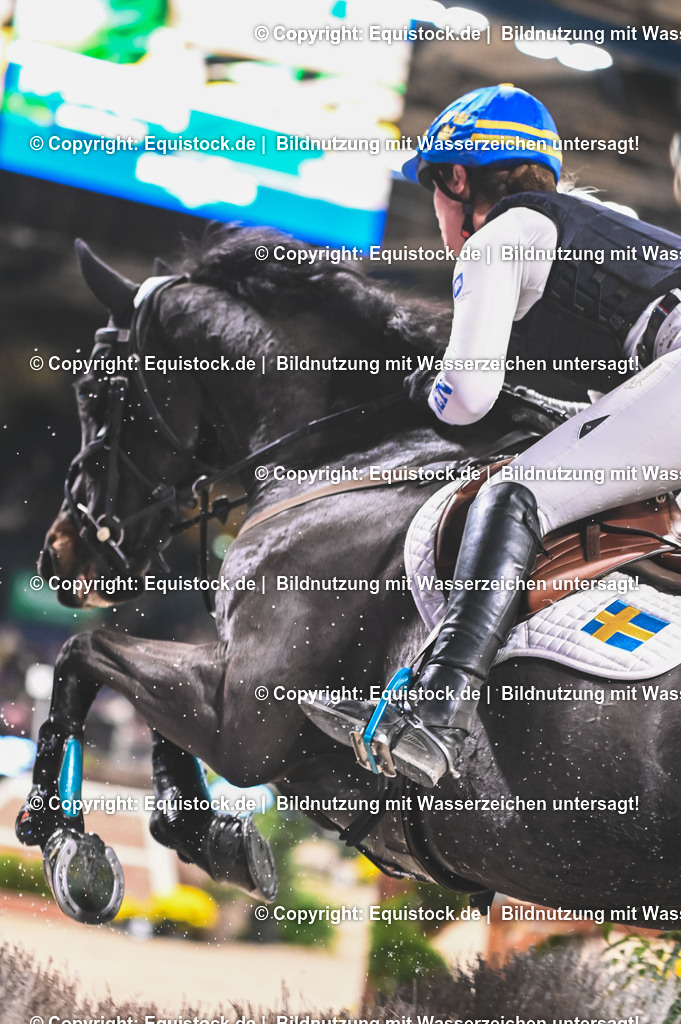 20251112_Indoor-Derby_TOMSPIC_0196 | Foto: Thomas Hartig