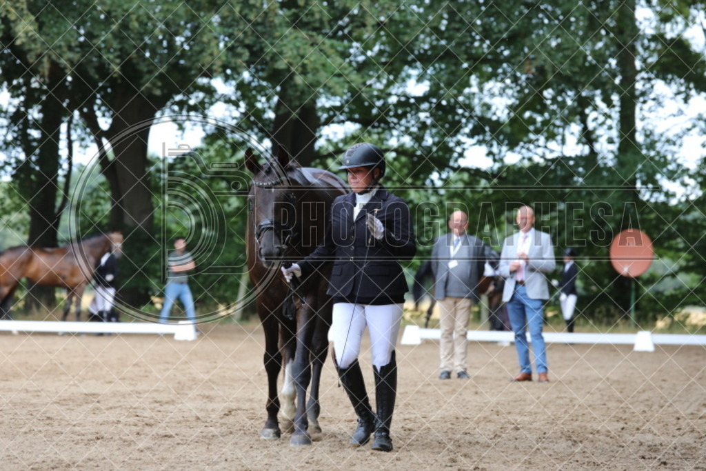 IMG_1969 | photographesa-joergens - Realisiert mit Pictrs.com