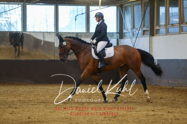 IMG_7935 | Turniersportfotografie; Pferdefotografie; Dressurfotografie