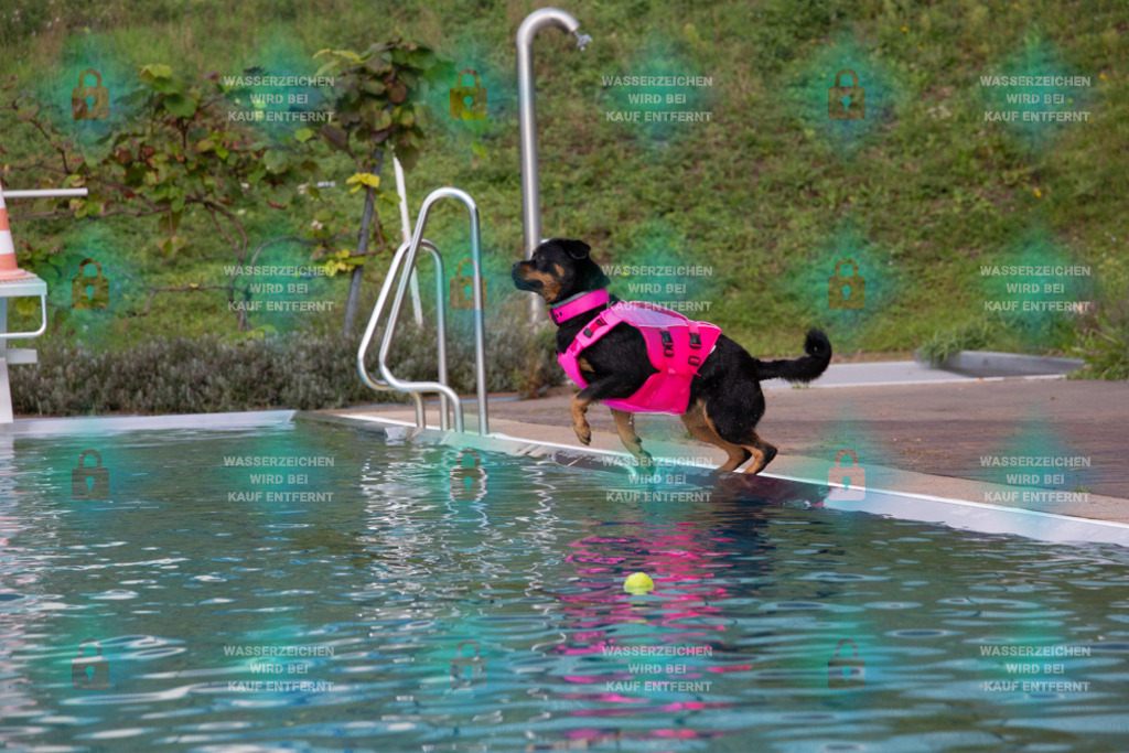 _HP_7598_1000o | HetPix, HetPix Fotodesign, Fotografie, Fotodesign, Webshop, Sportfotografie, Portraitfotografie, Onlineshop, Sportfotografie, Polch, Motorsportfotografie, Eventfotografie