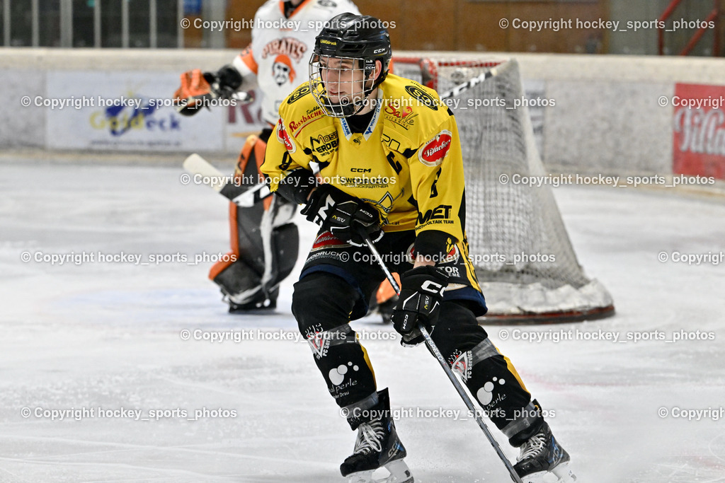 EC Hornets Spittal vs. USC Piraten Velden 18.2.2024 | #8 Komar Luca EC Hornets Spittal, EC Hornets Spittal vs. USC Piraten Velden 18.2.2024, EC Hornets Spittal vs. USC Piraten Velden 18.2.2024 am 18.02.2024 in Spittal an der Drau (Eissportzentrum Spittal), Austria, (Photo by Bernd Stefan)