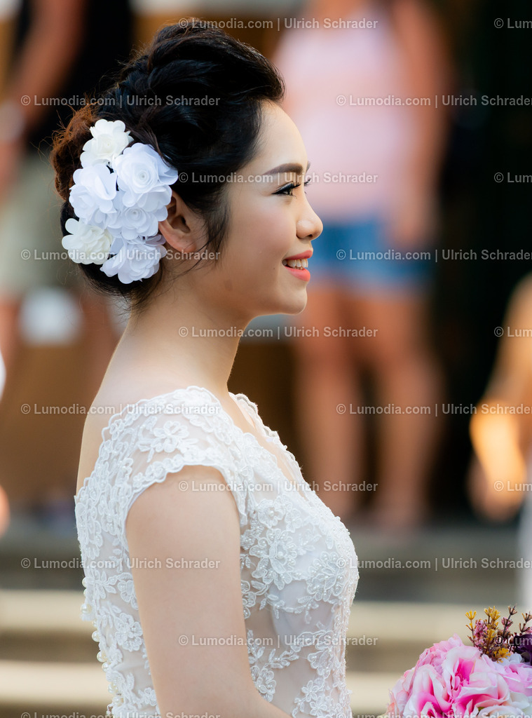 202510-134 | Stockfoto und Bilderpool mit Bildmaterial aus Deutschland, dem Harz, Halberstadt, Quedlinburg, Wernigerode und weltweit. Qualitativ hochwertige und professionelle Fotos anschauen und kaufen. - Realisiert mit Pictrs.com