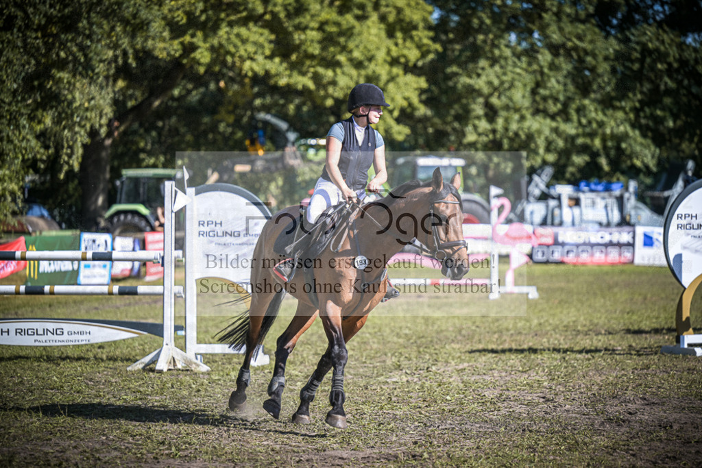 DOS_0861 | Entdecke hochwertige Reitturnierfotos von Foto Oger. Professionell, emotional und authentisch – jetzt Lieblingsmomente im Shop bestellen.Deutschlandweite Turnierfotografie. - Realisiert mit Pictrs.com