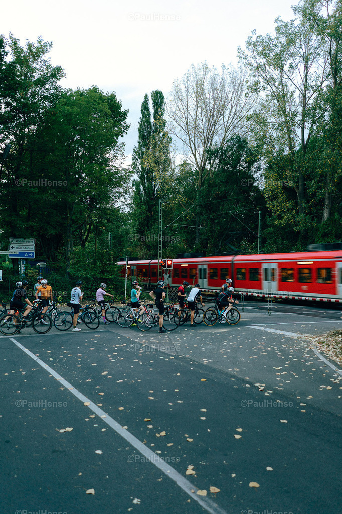 20220816_0064_PaulHense_DSC06038 | paulhense - Realisiert mit Pictrs.com