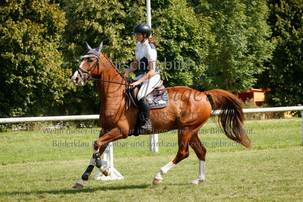 IMG_3687 | P. Berger Fotografie - Realisiert mit Pictrs.com