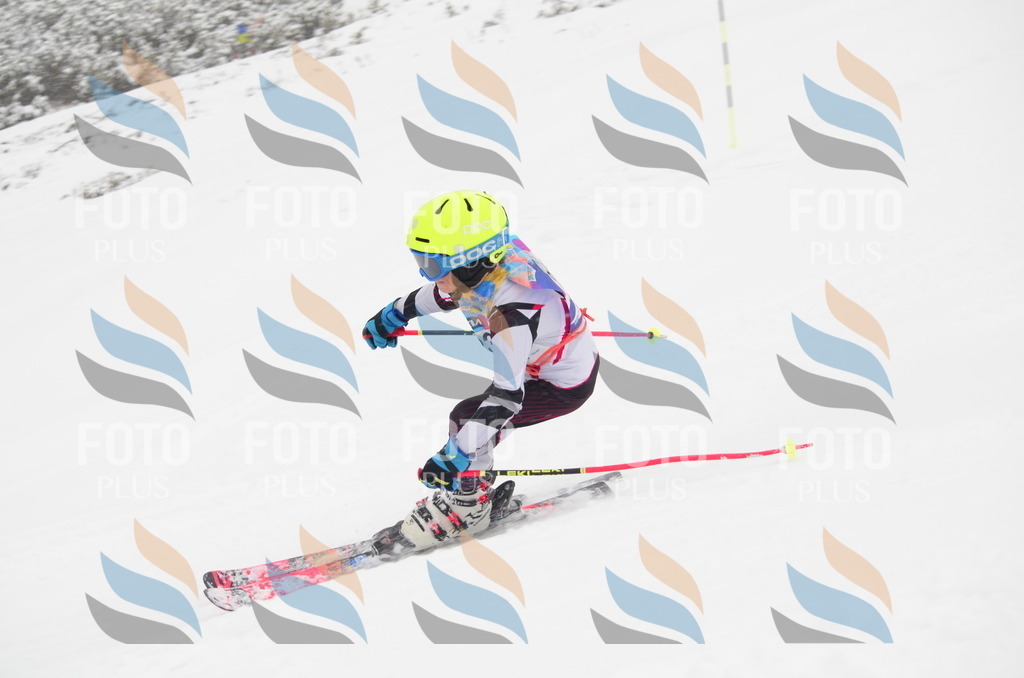 C0695 | holidayphoto