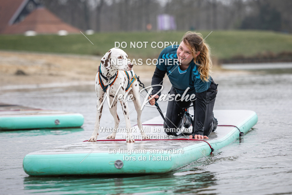 nelerasche_Hulsbeek_Sa1130-1230_286 | nelerasche