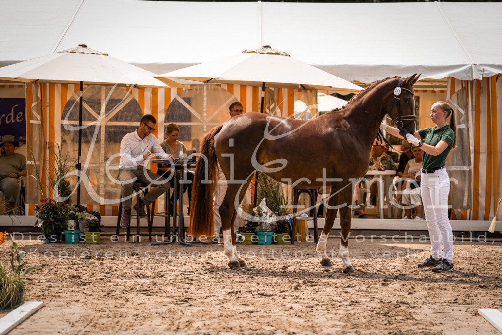 3.Fr00080 | Leoni Ertmer Photography - Realisiert mit Pictrs.com