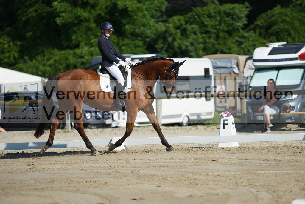 DSC04013 | equestrian-live-com