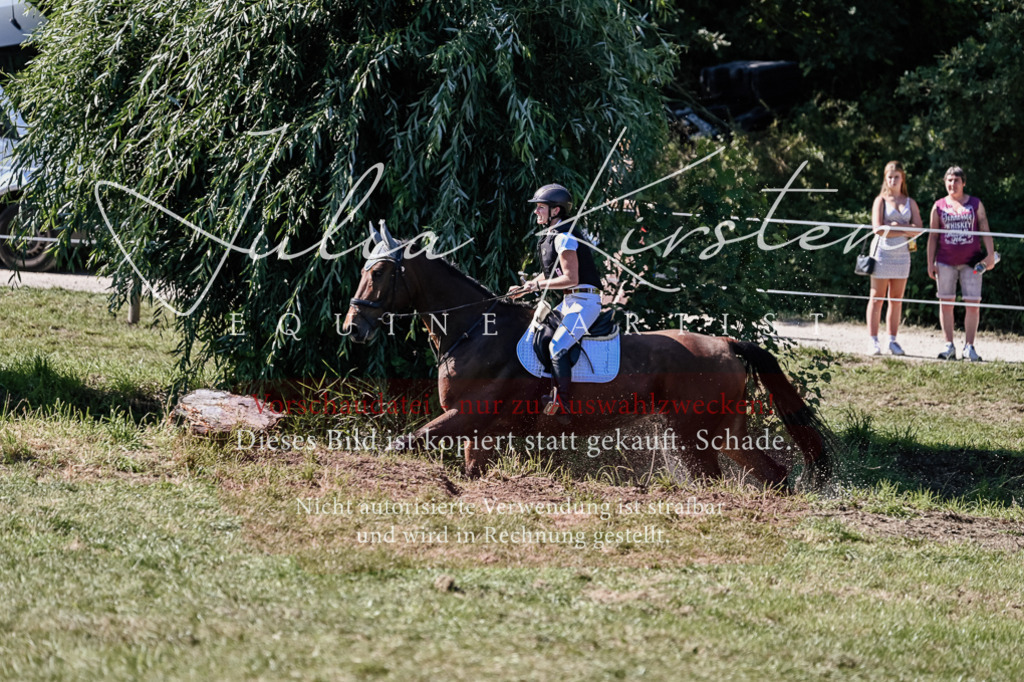 DSC_2715 | Pferde- und Turnierfotografie in Westsachsen. Pferdeportraits, Auftragszeichnungen und intuitive Kunst.
