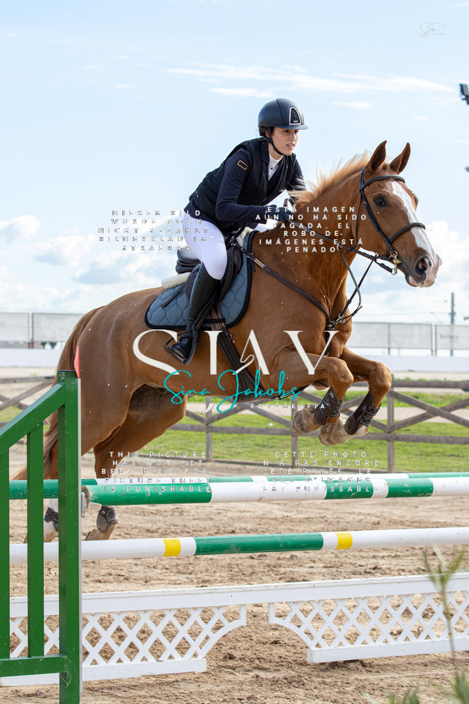 IMG_3181 | s-jay-photography - Realisiert mit Pictrs.com