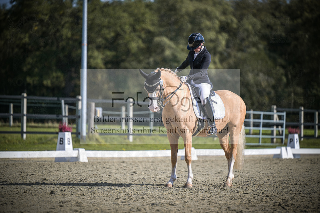 DOS_2062 | Entdecke hochwertige Reitturnierfotos von Foto Oger. Professionell, emotional und authentisch – jetzt Lieblingsmomente im Shop bestellen.Deutschlandweite Turnierfotografie. - Realisiert mit Pictrs.com