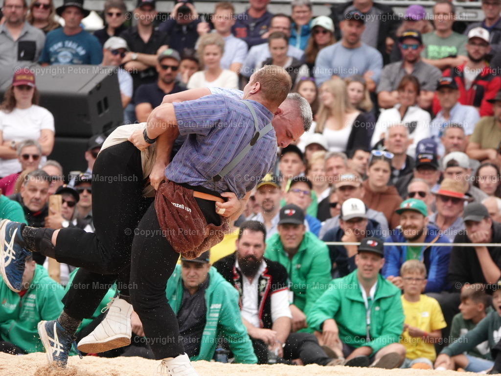 DSC08363 | Schwingen - Realized with Pictrs.com