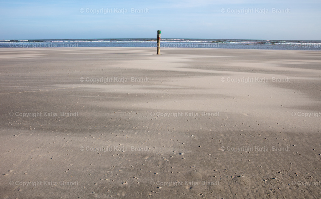 Pfal-2A5A8628 | Katja Brandt 