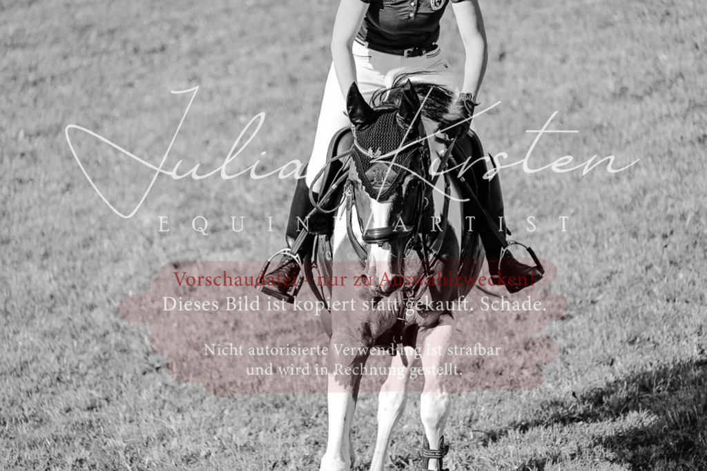 DSC_2412 | Pferde- und Turnierfotografie in Westsachsen. Pferdeportraits, Auftragszeichnungen und intuitive Kunst.
