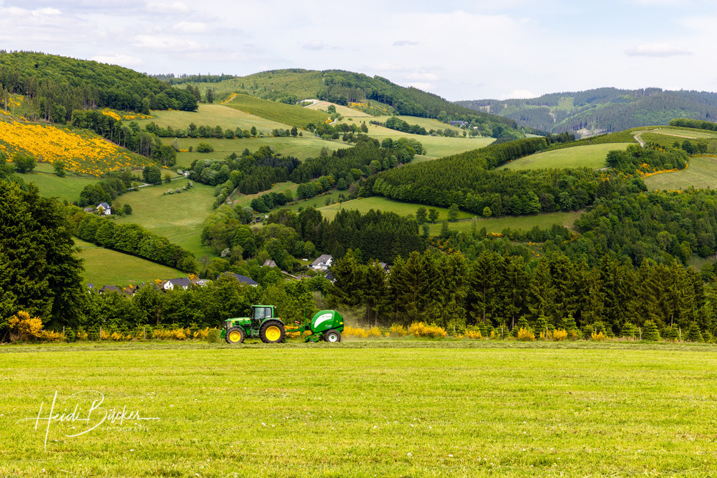 Westfeld und Umgebung 027 | Bilder und Impressionen zu jeder Jahreszeit aus dem Sauerland im Naturpark Sauerland-Rothaargebirge - Realisiert mit Pictrs.com