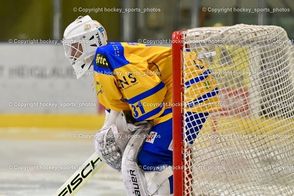 ESC Steindorf vs. EHC Althofen 13.1.2024 | #31 Horn Fabian