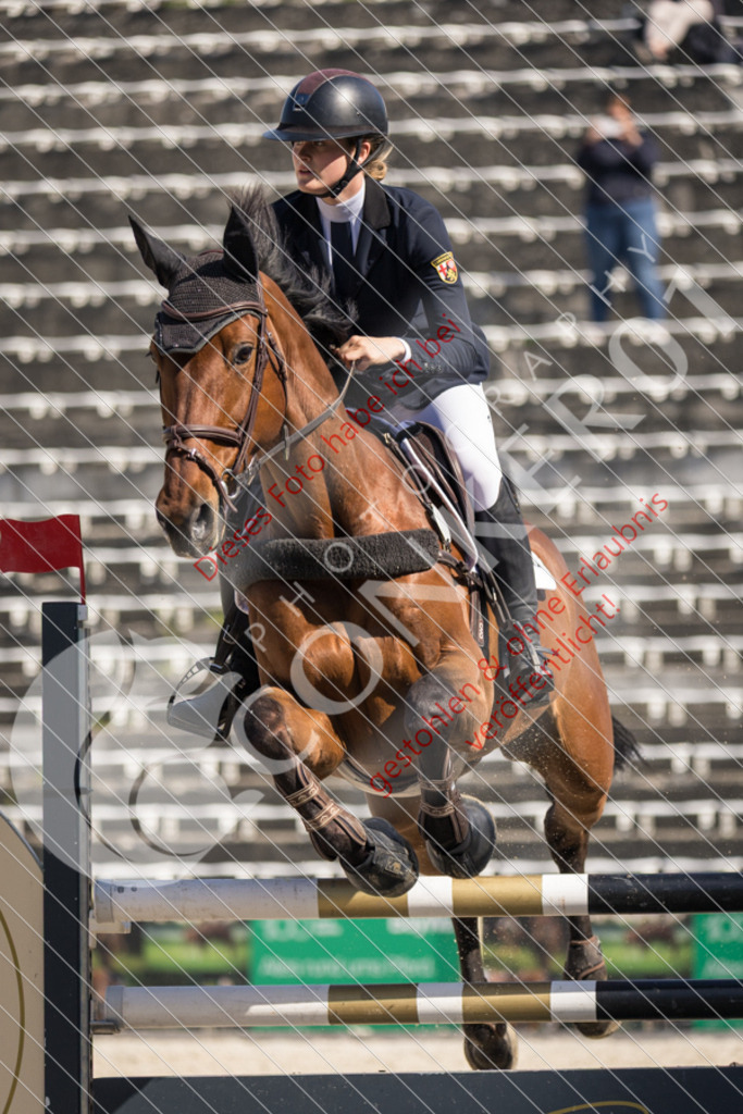 IMG_3936 | Sport-, Event- und Tierfotos in Profiqualität. Einfach auswählen, bestellen und herunterladen. Dein Moment – perfekt festgehalten.