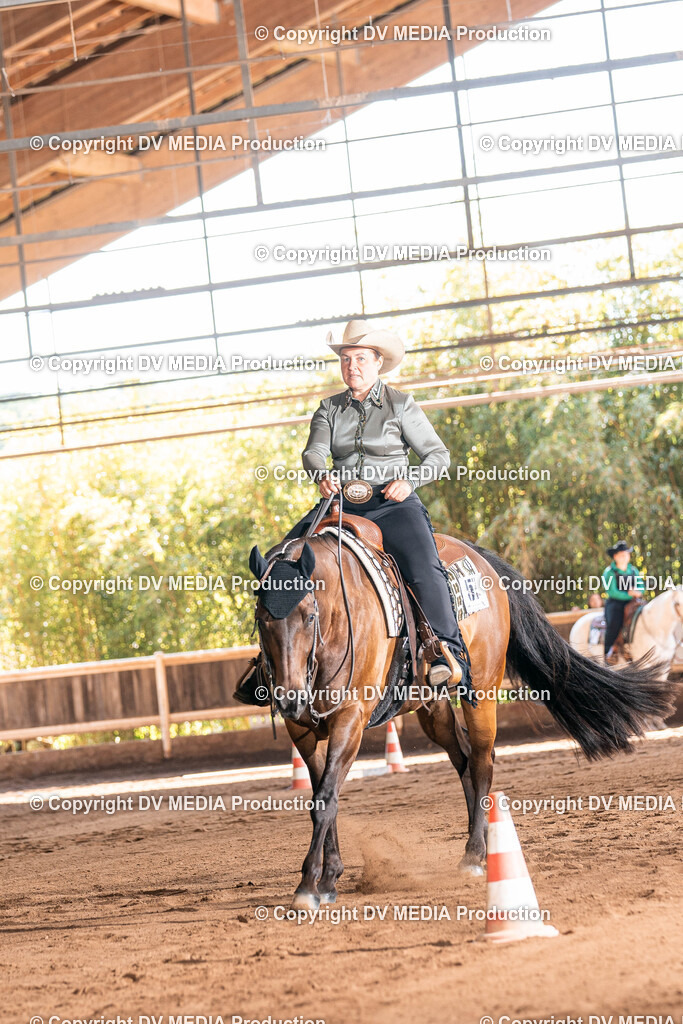 Erbach Tag 3-347 | dv-media-shop - Realisiert mit Pictrs.com