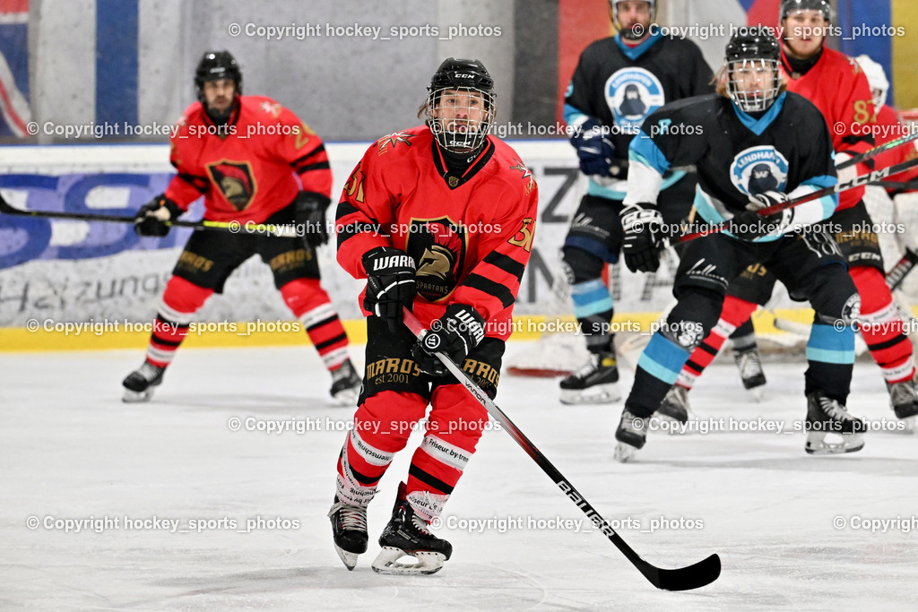 Lendhafen Seelöwen vs. Spartans Althofen | #51 Titze Lukas Spartans Althofen, Lendhafen Seelöwen vs. Spartans Althofen, Lendhafen Seelöwen vs. Spartans Althofen am 14.02.2025 in Ferlach (HTC Eishalle Ferlach), Austria, (Photo by Bernd Stefan)