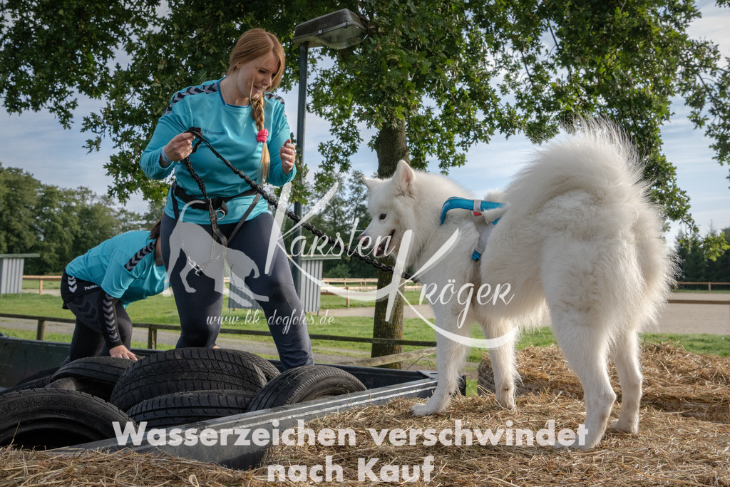 0908_ZZ94591 | kk-dogfotos