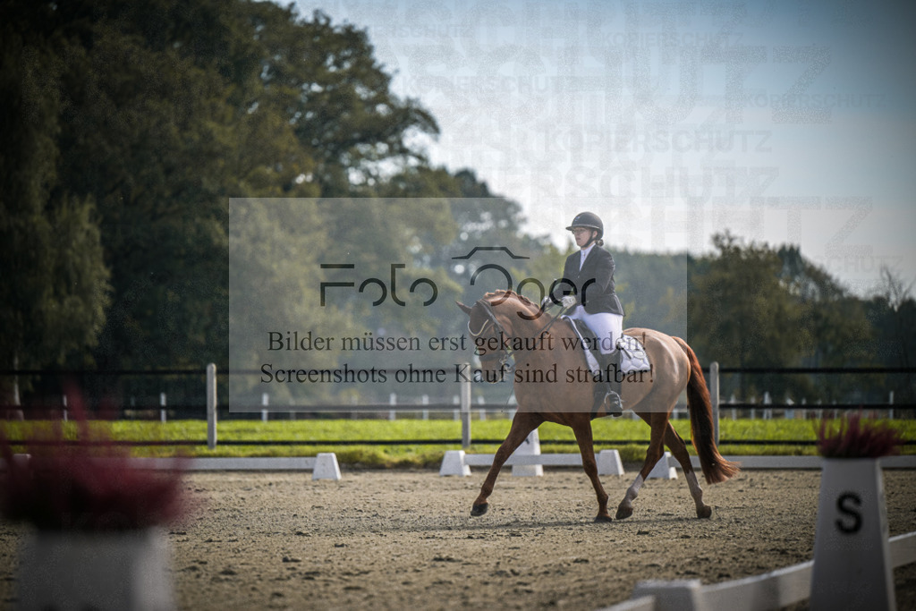 DOS_1145 | Entdecke hochwertige Reitturnierfotos von Foto Oger. Professionell, emotional und authentisch – jetzt Lieblingsmomente im Shop bestellen.Deutschlandweite Turnierfotografie. - Realisiert mit Pictrs.com