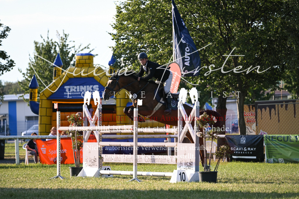 DSC_1810 | Pferde- und Turnierfotografie in Westsachsen. Pferdeportraits, Auftragszeichnungen und intuitive Kunst.