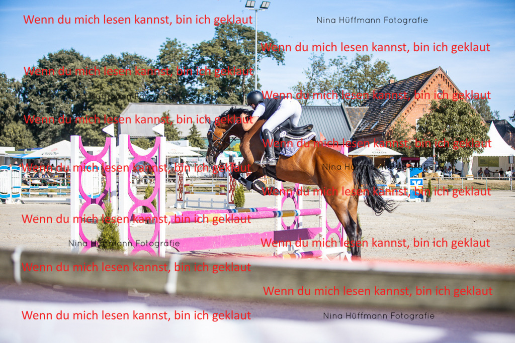 BK1A7397 | Turnierbilder Turnierfotos Nina Hüffmann Turnierfotografie Pferdefotografie Tierzeichnung Haustierzeichnung Pferdezeichnung Hundezeichnung Videograf  - Realisiert mit Pictrs.com
