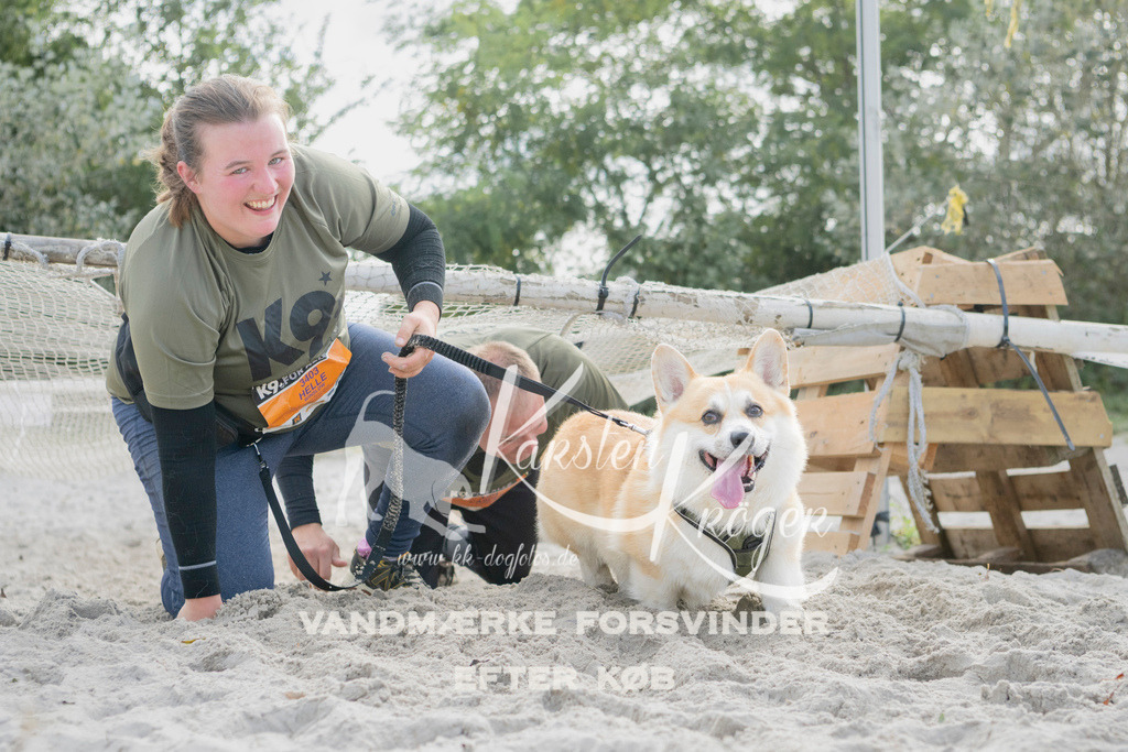 1332_ZZ97627 | kk-dogfotos