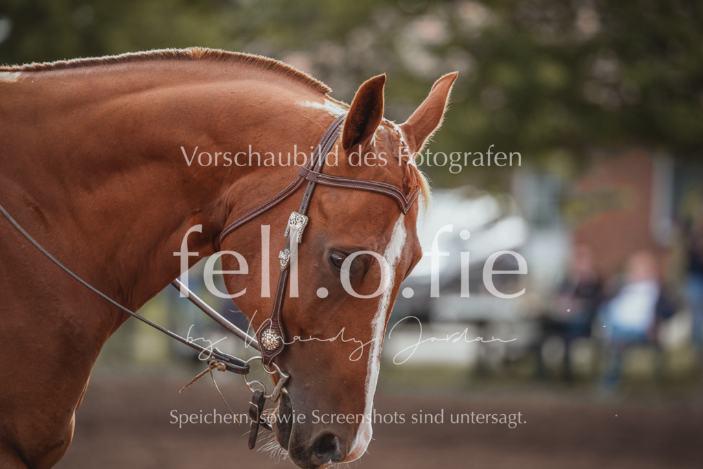 fell.o.fie_mandyjordan_2024_06_01589 | Mandy Klecke Fellfotografie, fell.o.fie Fotografenshop - Realisiert mit Pictrs.com