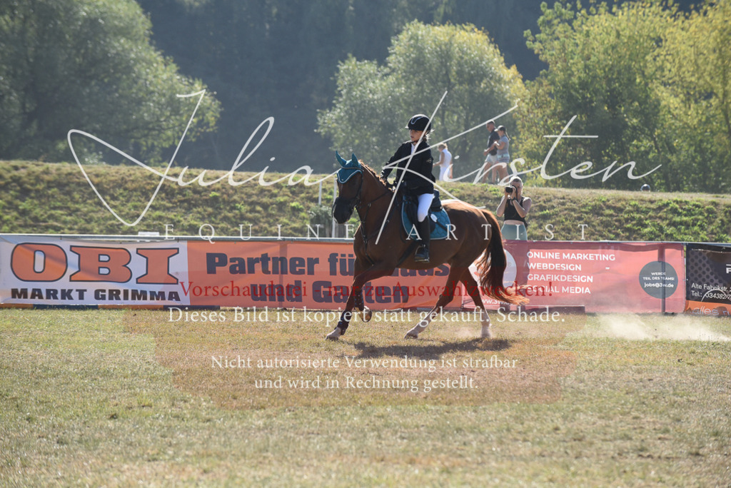 DSC_6058 | Pferde- und Turnierfotografie in Westsachsen. Pferdeportraits, Auftragszeichnungen und intuitive Kunst.