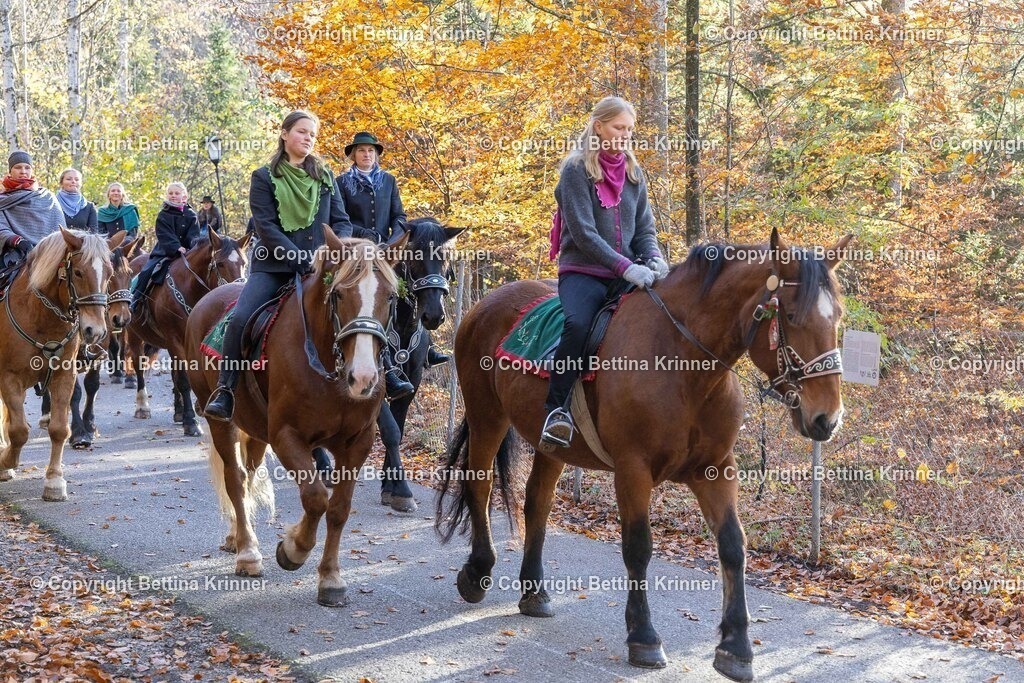 LL24-323 | foto-bettina-krinner - Realisiert mit Pictrs.com