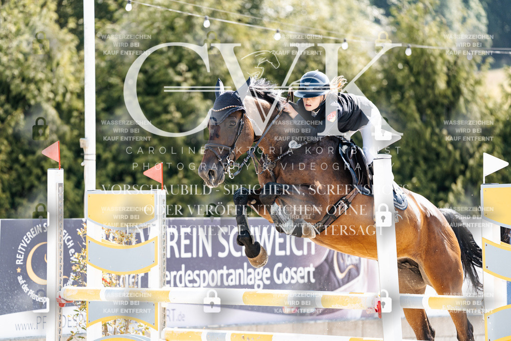 CK908532 | Turnierfotografie Pferdefotografie Trier Rheinland-Pfalz Pferdesport Reitsport Tierfotografie Sportfotografie Pferdevideo Pferdevideografie Equestrianvideography equestrianphotography  - Realisiert mit Pictrs.com