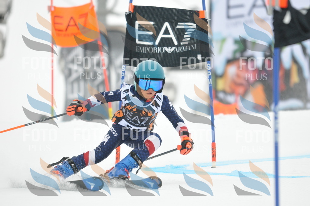 DSC_7774 | holidayphoto