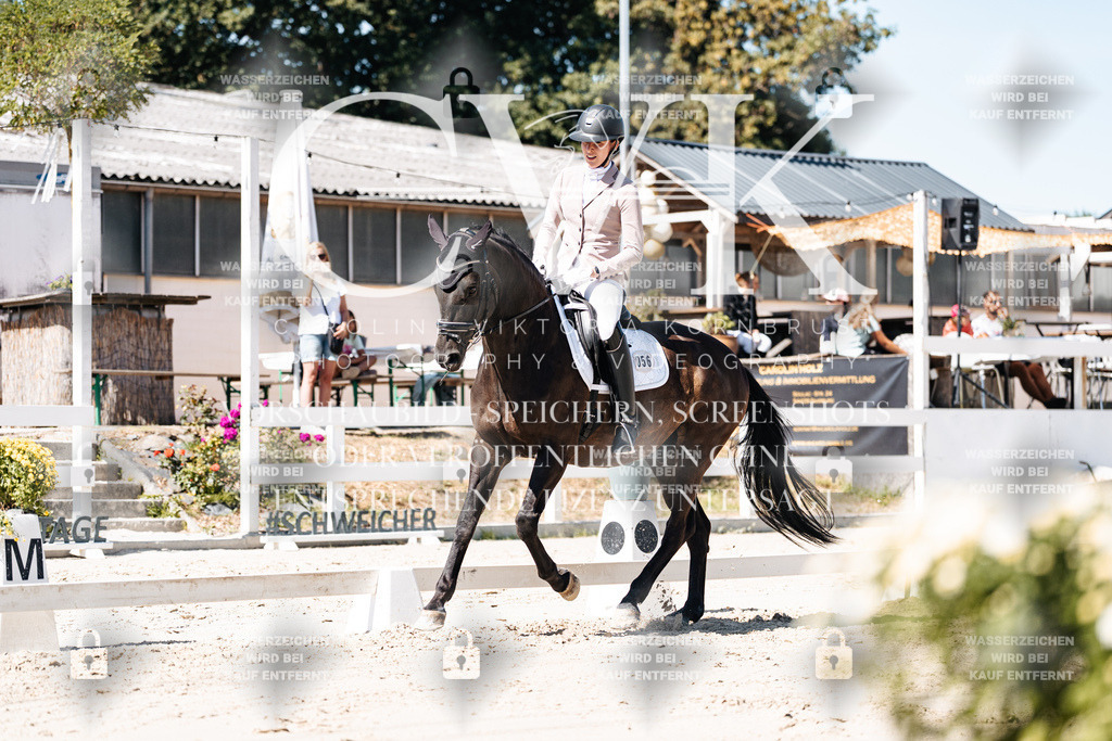 CK909420 | Turnierfotografie Pferdefotografie Trier Rheinland-Pfalz Pferdesport Reitsport Tierfotografie Sportfotografie Pferdevideo Pferdevideografie Equestrianvideography equestrianphotography  - Realisiert mit Pictrs.com