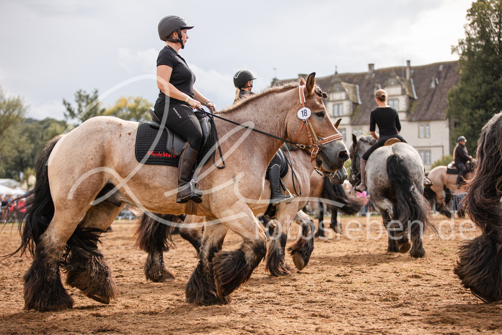 846A4039 | fotosleben - Realisiert mit Pictrs.com