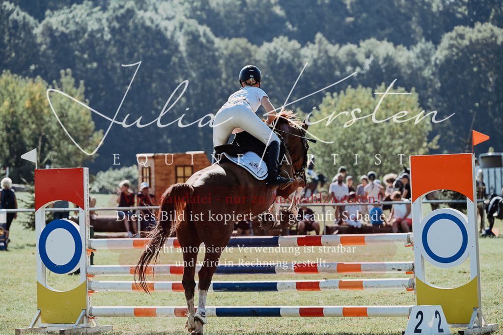 DSC_5605 | Pferde- und Turnierfotografie in Westsachsen. Pferdeportraits, Auftragszeichnungen und intuitive Kunst.