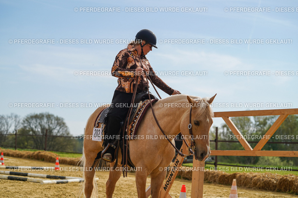 DSC02177 | Pferdegrafie