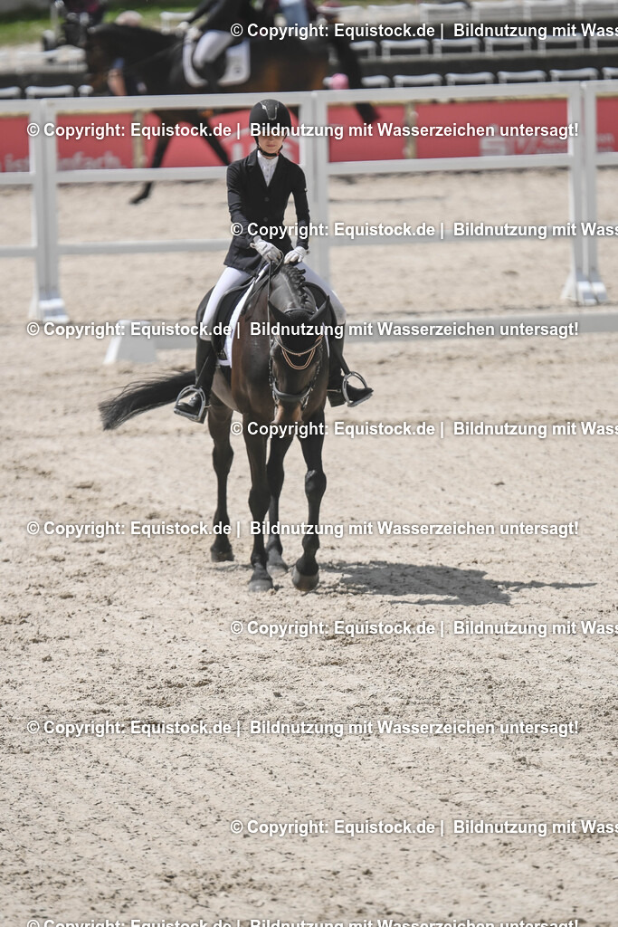 20250516_CCI2_Dressur_0208 | Foto: Thomas Hartig