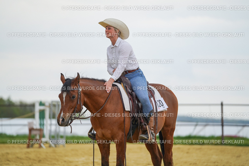 DSC08283 | Pferdegrafie