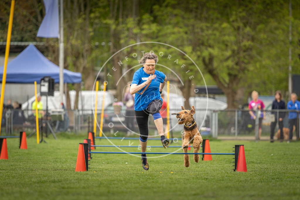 Pfotenfotografie_DV3A8405 | Hundefotografie, Tierfotograf, Pfotenfotografie, Fotoshooting Hund, Hunde Portrait, Hundesport, Hundeportraits, Heideshooting, Hunde, Sportfotograf, Hundefotograf, Turnierhundsport, THS,  - Realisiert mit Pictrs.com