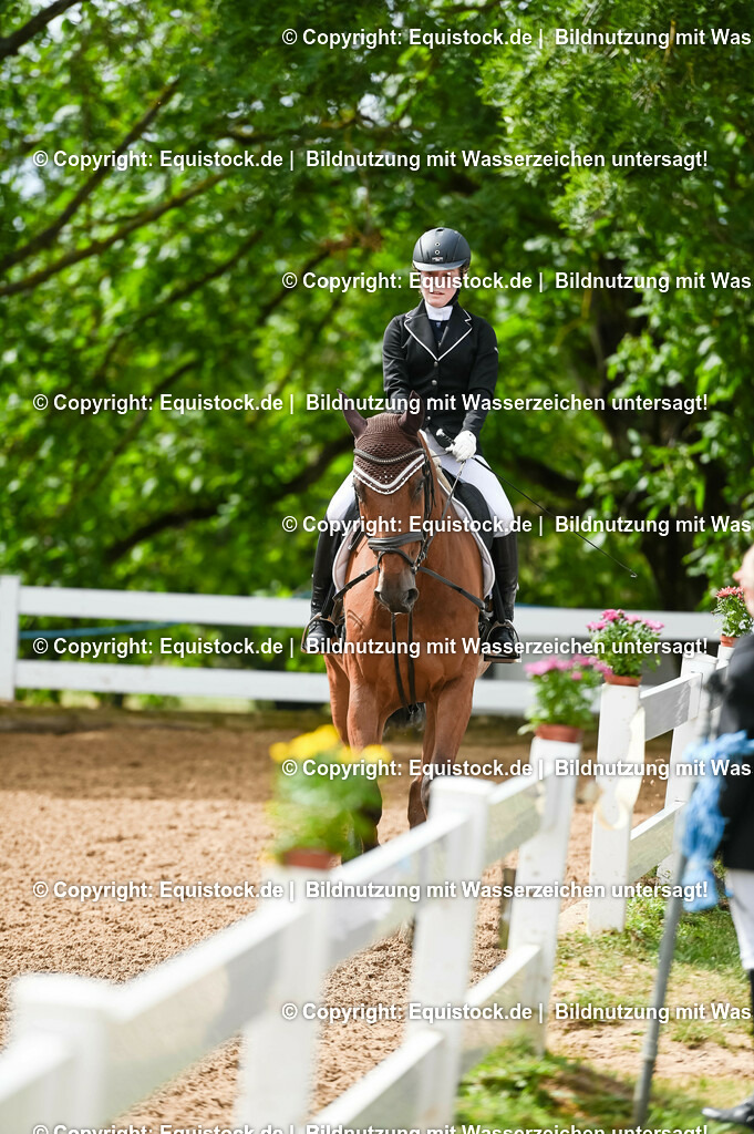 20230716_10-1_Reiter-WB Schritt - Trab - Galopp_0103 | equistock