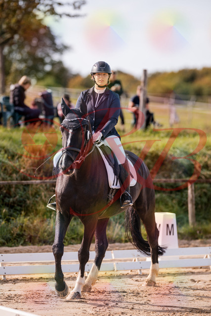 2026_10_03_Siefer-Hof_113251_Z81_79020044 | Professionelle Reitsport-, Turnier- und Eventfotografie von Robert Broda. Galerien mit ausgewählten und bearbeiteten Bildern direkt online ansehen und bestellen.